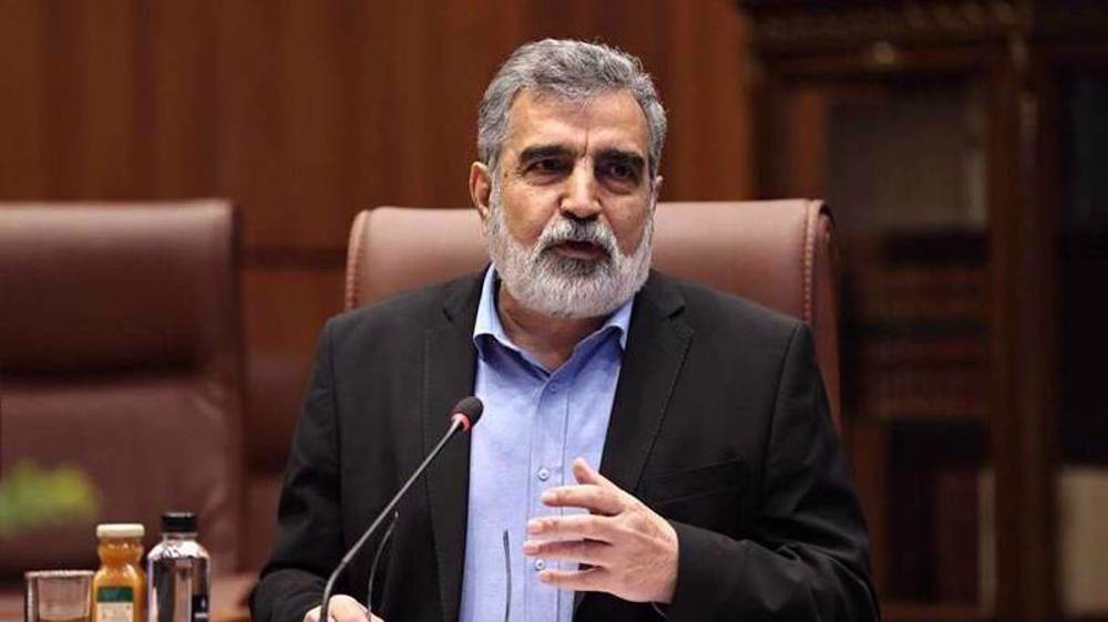 Iran will secure its interests via diplomacy or on battlefield: AEOI spokesman