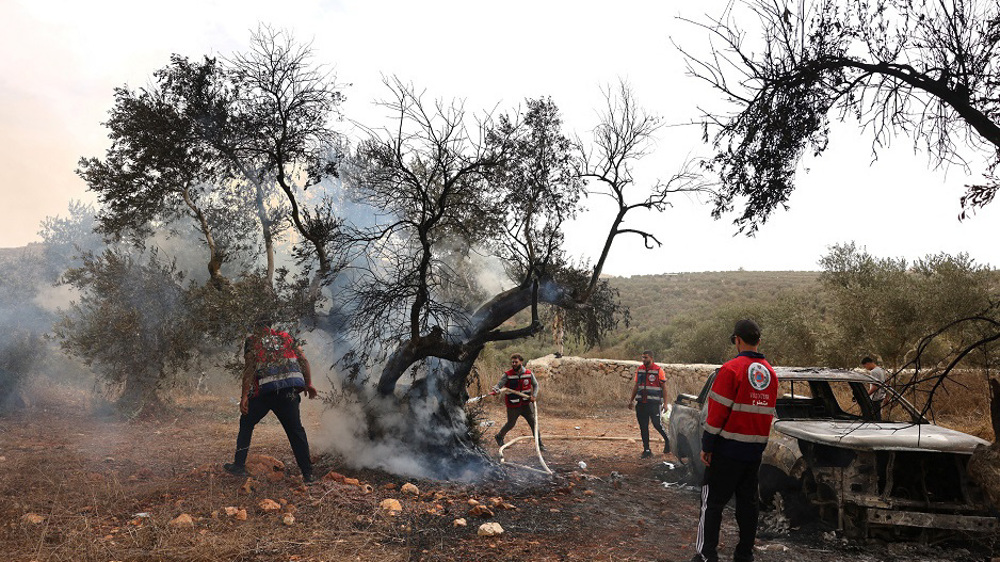 Israeli strike kills Palestinian in Gaza; settlers attack olive harvesters across West Bank