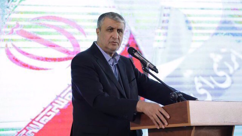 Iran’s progress ‘miraculous’ despite sanctions: Nuclear chief