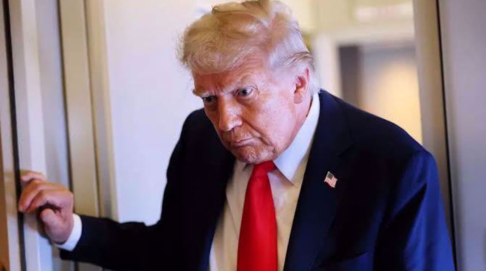Nigel Farage Trump