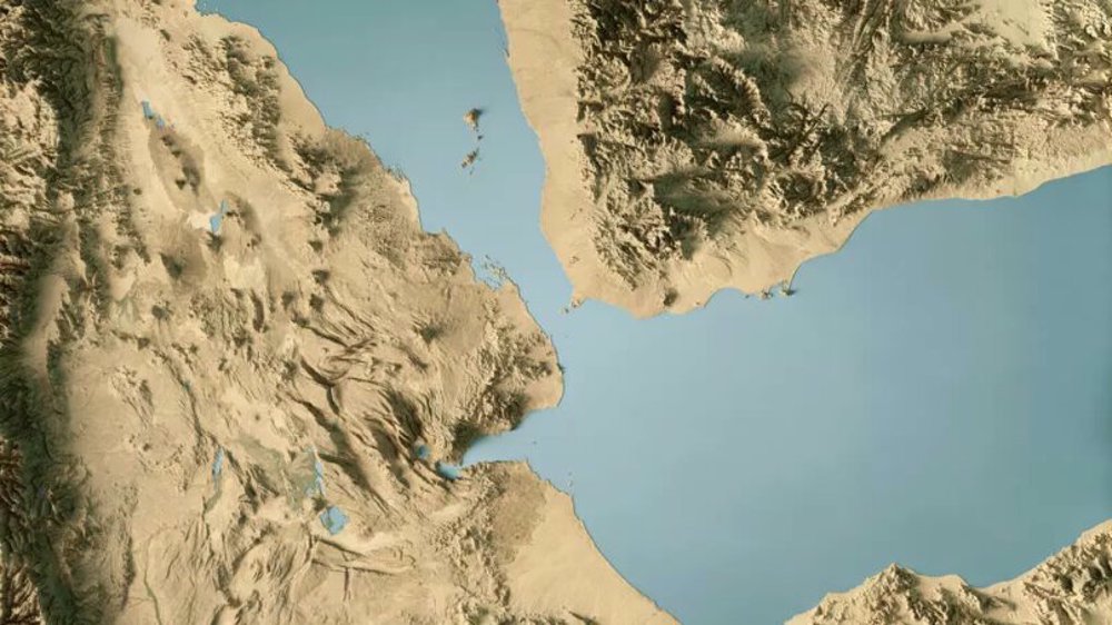 Bab el-Mandeb joins Hormuz as pillars of global economic power