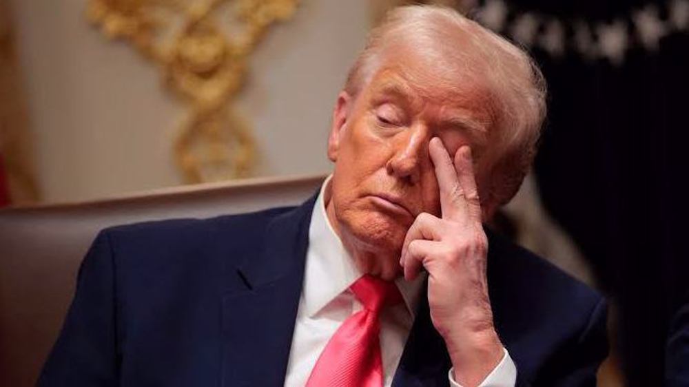 Nigel Farage Trump