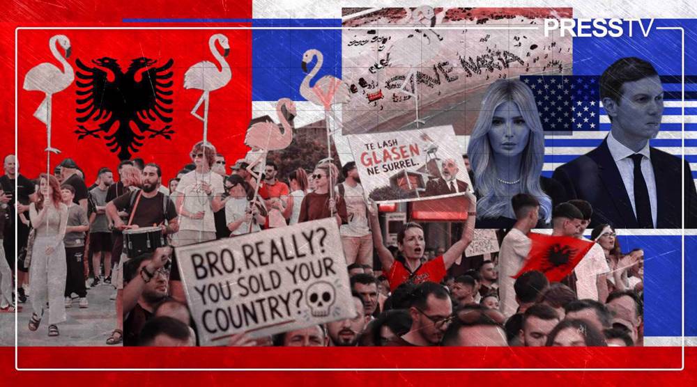 'Flamingo Revolution': Albanians rally to save wetlands from Trump-Kushner family luxury project