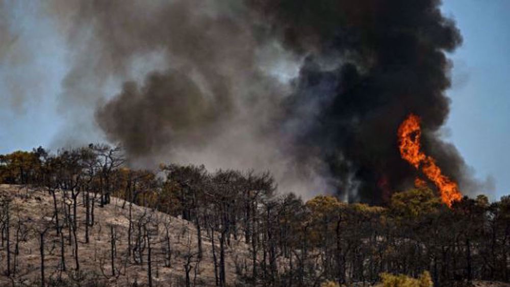 France : plus de 25 000 hectares détruits par les incendies 