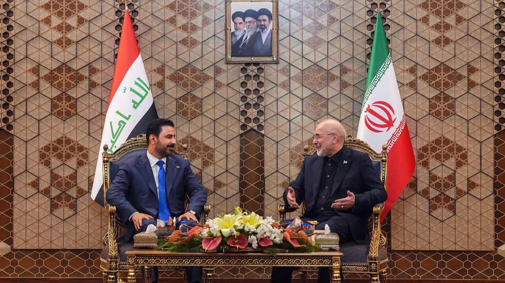Israel ‘number one enemy’ of Muslim states: Iran Parliament speaker