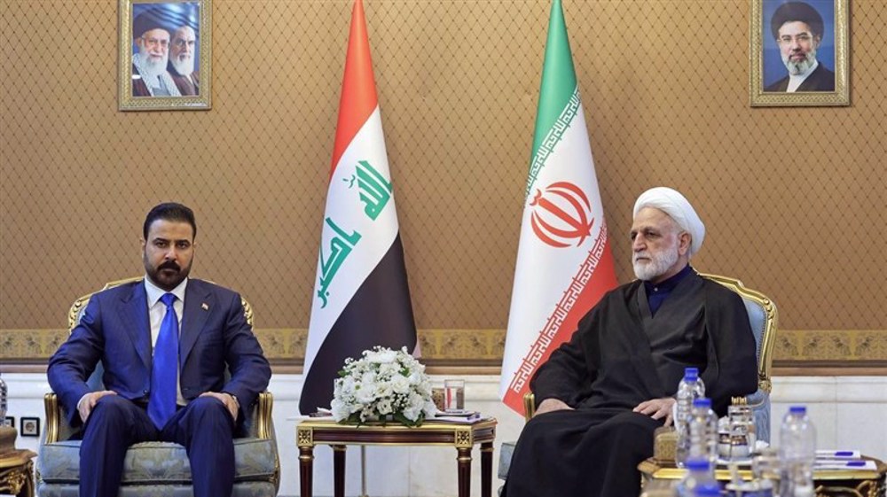 Iran harbors no hostility toward neighboring countries: Judiciary chief