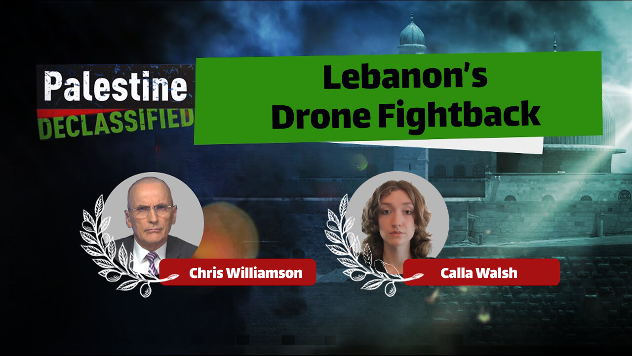 Lebanon's drone fightback