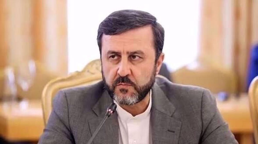 Trump understands language of force better: Iran deputy FM