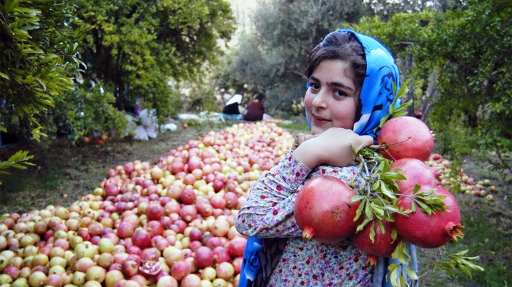 Iran’s orchards: A new frontier for non-oil exports