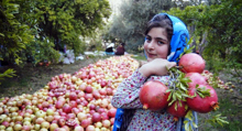 Iran’s orchards: A new frontier for non-oil exports