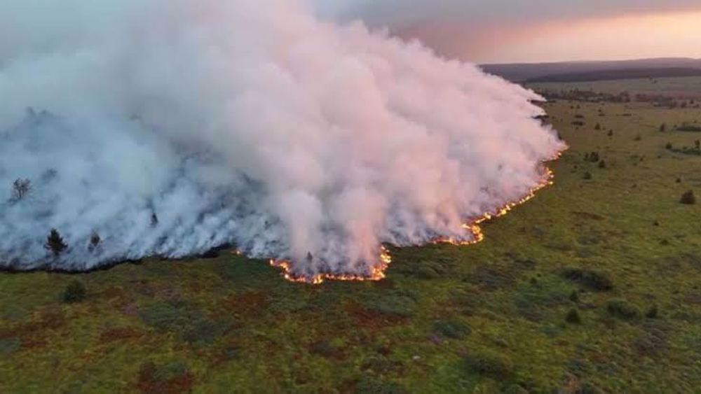 La Belgique mobilisée face à un incendie historique avec 3 000 hectares ravagés