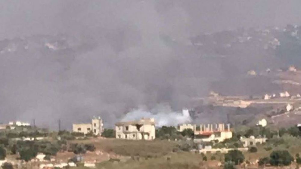 Israeli forces attack Lebanon's Nabatieh, South governorates