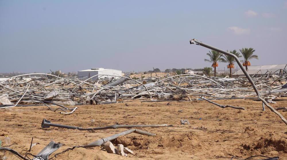 Gaza : seuls 3 % des terres agricoles restent accessibles et intactes (FAO)