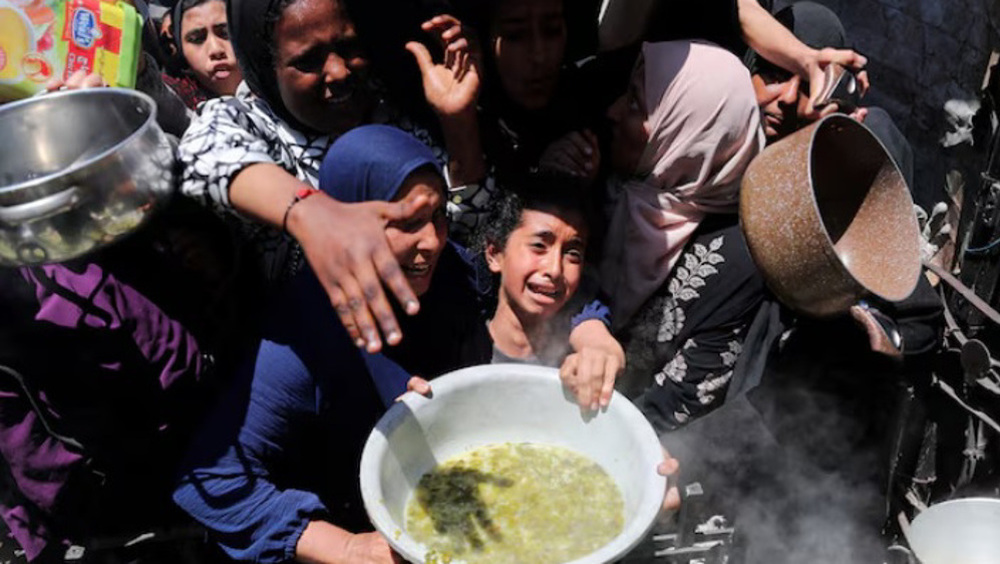 Israel’s genocidal war leaves just 3% of Gaza’s farmland usable: UN