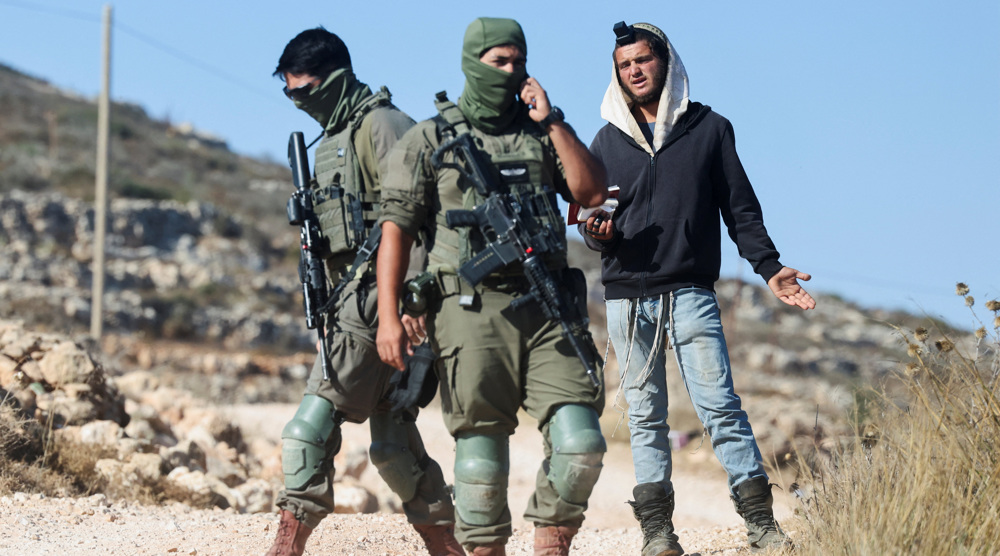 UN rights expert demands urgent international protection in Palestine amid settler attacks