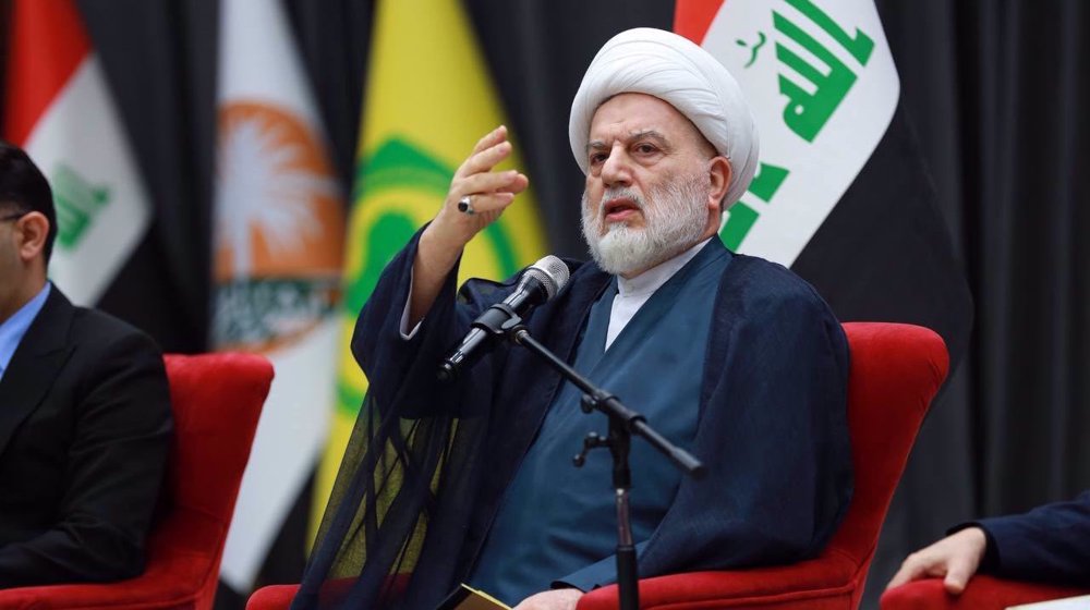 Any attempt to cause strife among Iraqi Shia factions doomed to failure: Top cleric