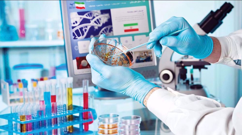 Oncologie : des chercheurs iraniens percent les secrets du microenvironnement tumoral