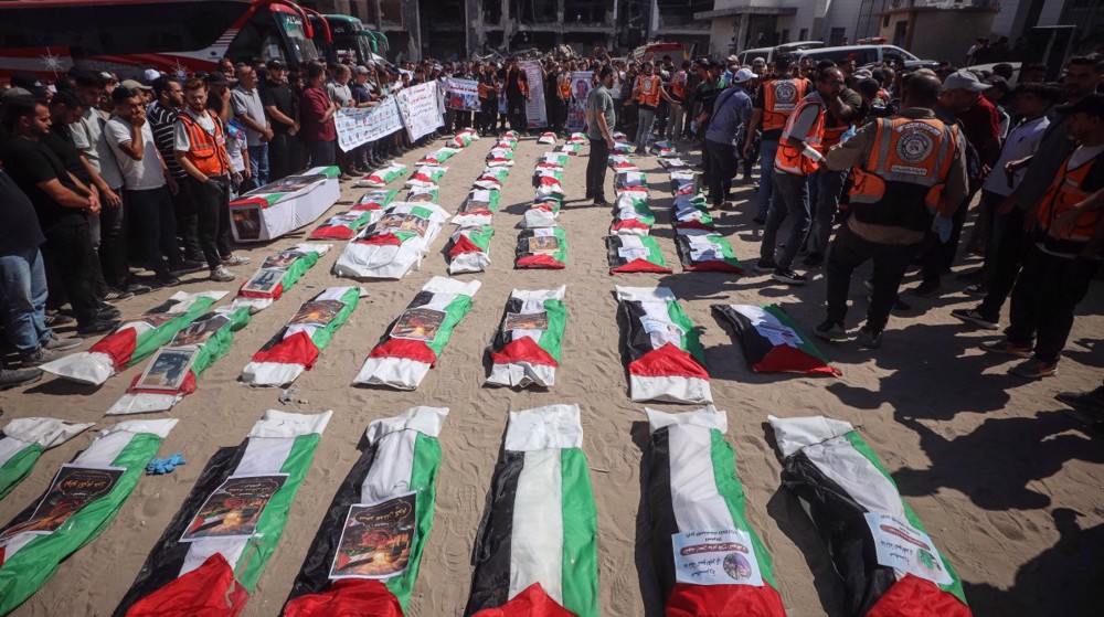 Israel denies Swedish MEPs entry to occupied lands over criticism of Gaza genocide 