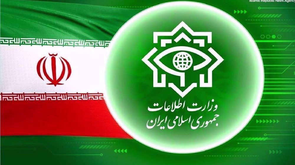 Iran : 30 mercenaires impliqués dans les émeutes de janvier arrêtés