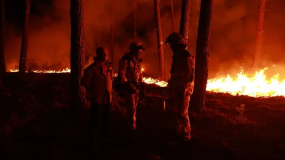 Incendies en France : un bilan des dégâts particulièrement lourd