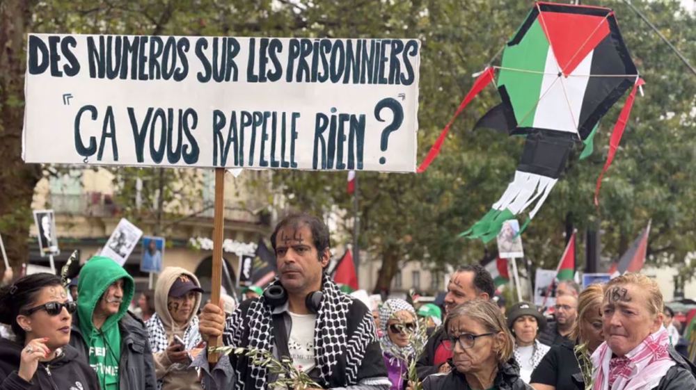 Paris : des cerfs-volants dans le ciel en signe de solidarité avec les enfants de Gaza