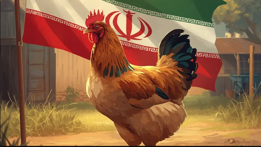 Iran’s new food security milestone: Chicken self-sufficiency