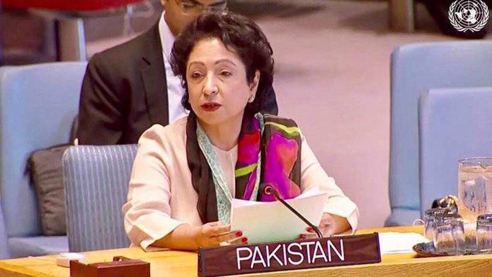 Ex-Pakistani envoy: US economic war on Iran to 'backfire like bombing campaign' 