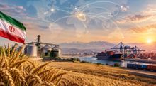 Behind Iran’s record wheat harvest amid drought, sanctions and war