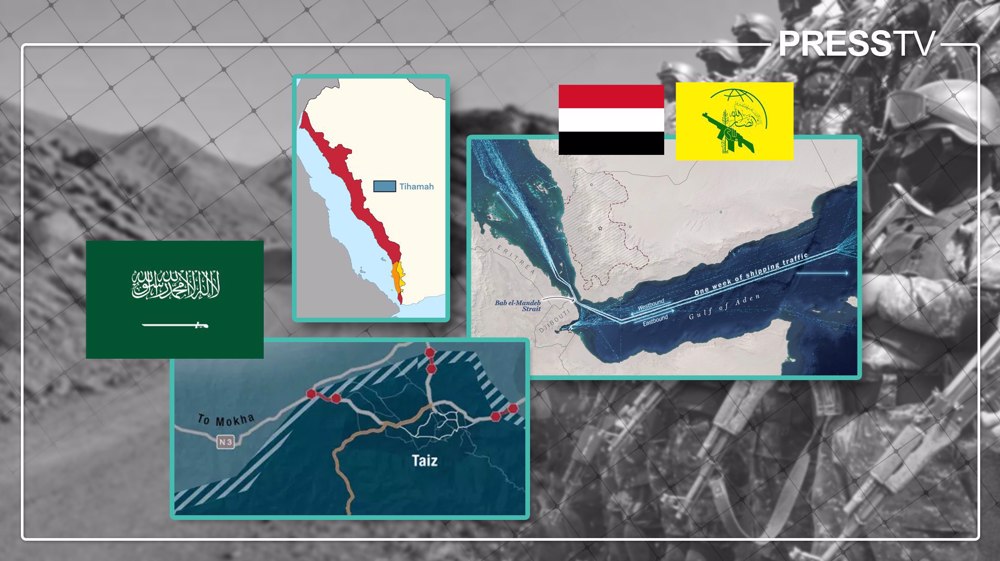 Sana’a strikes back: How Yemeni military’s lightning advance redrew the Red Sea's strategic map