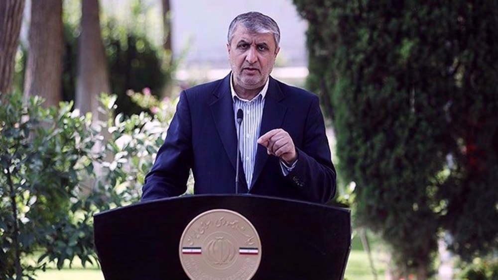 Téhéran dénonce le refus de visa autrichien au chef du nucléaire iranien