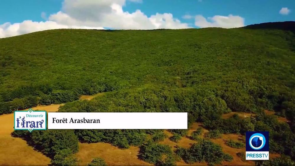 La forêt d’Arasbaran, un patrimoine naturel de l’Azerbaïdjan de l'Est