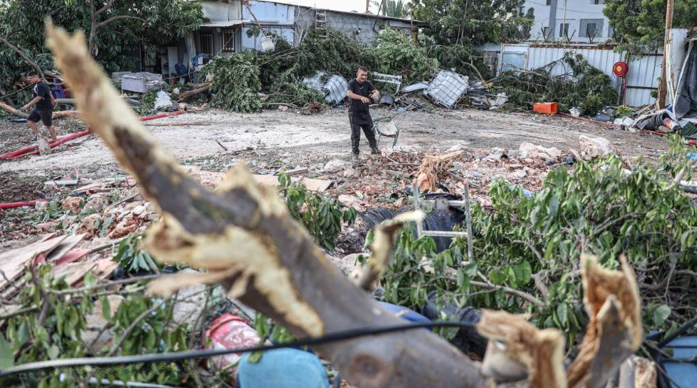 Resistance operations rise across West Bank as Israel bulldozes trees, land 