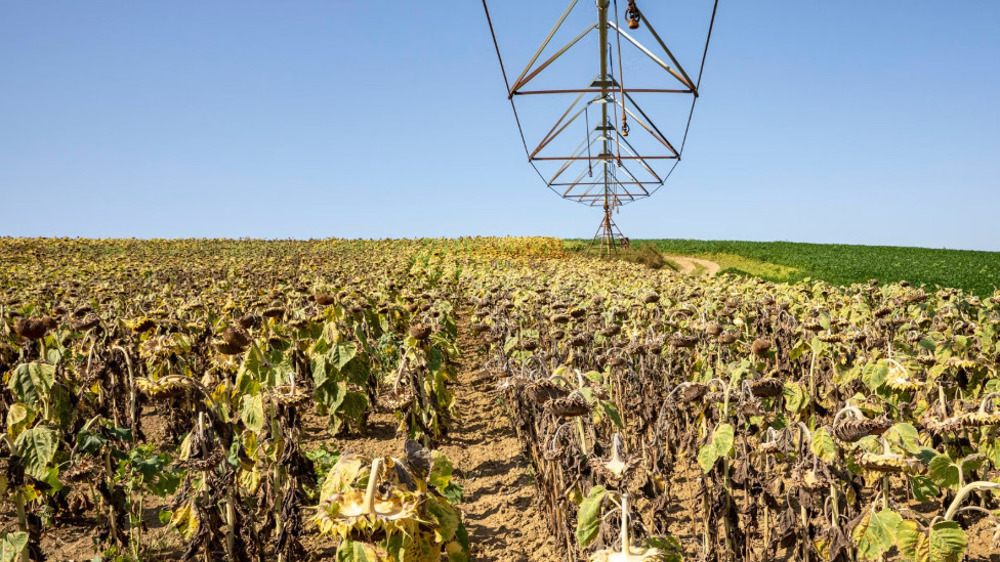 France : le report du plan canicule provoque la colère des agriculteurs