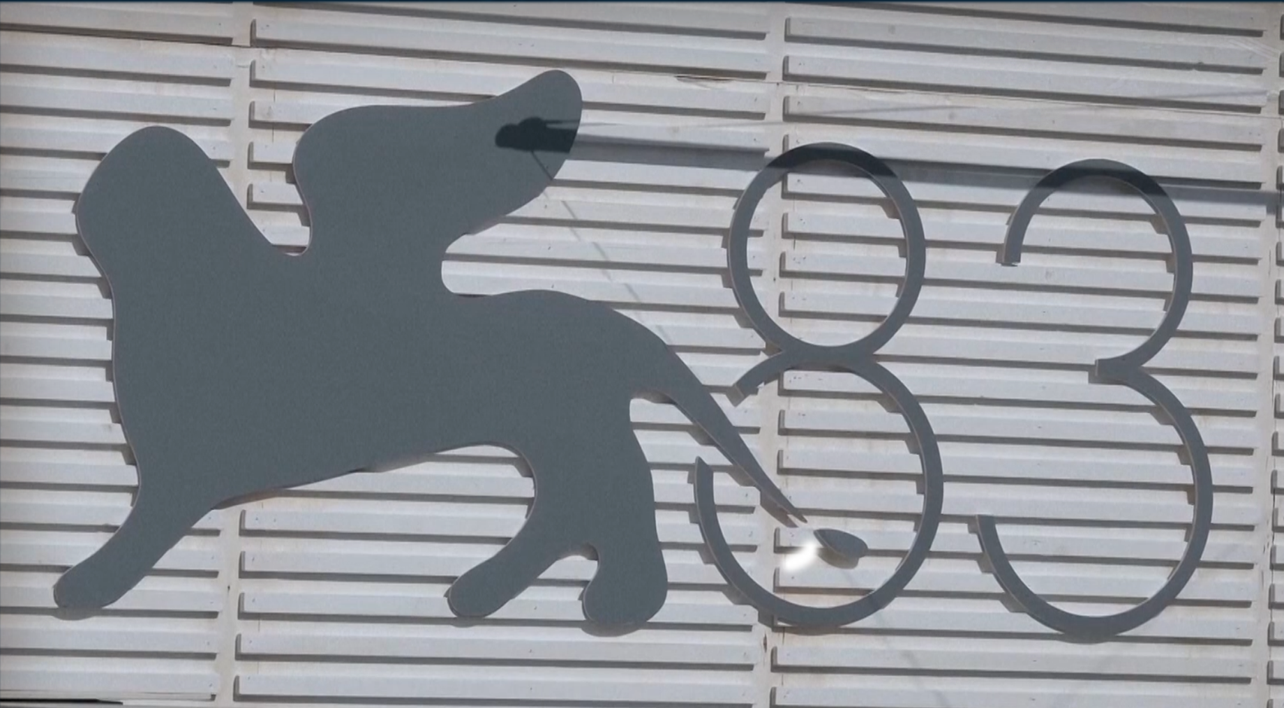 Two films on Israeli regime's genocide in Gaza screened at Venice Film Festival