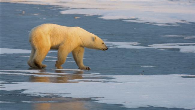 Obama injects $500m into climate fund
