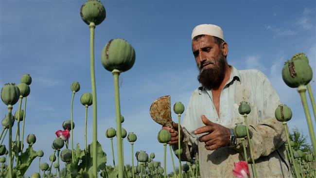 Iran, Afghanistan, Pakistan meet on drugs war