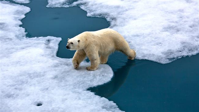 How will climate change affect our world ?