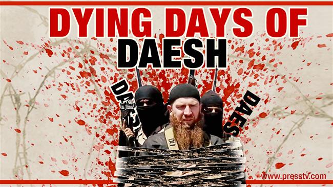 Debate: Syria's Dayr al-Zawr liberation 