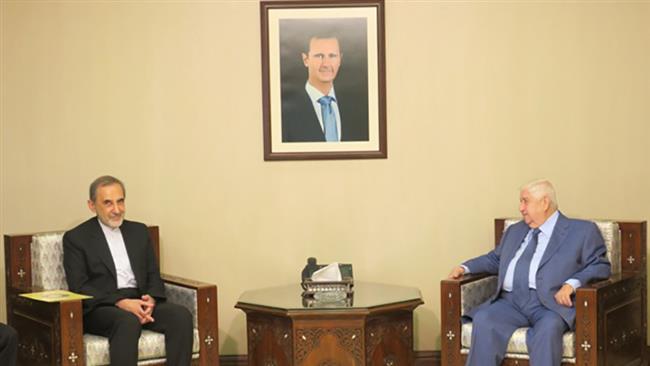 'Iran, Syria seek to safeguard anti-Israel resistance'