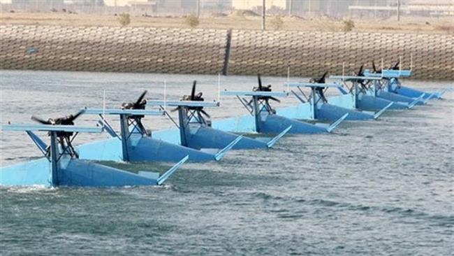 Les bateaux volants du CGRI