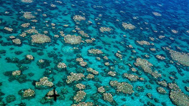 ‘Climate change imperils 1 in 4 UNESCO natural sites’