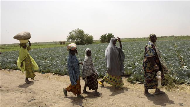 6 killed in Boko Haram attack in NE Nigeria