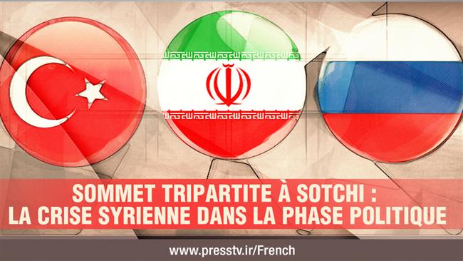Sotchi: la crise syrienne dans la phase politique