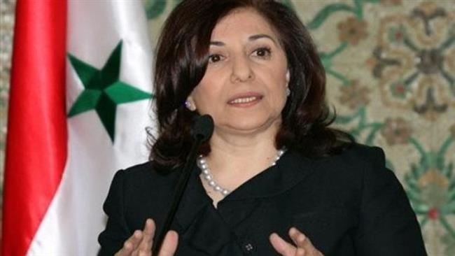 'Syria govt. seeking to find political solution'