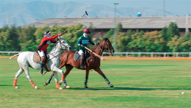 Chovgan listed as Iran's intangible cultural heritage