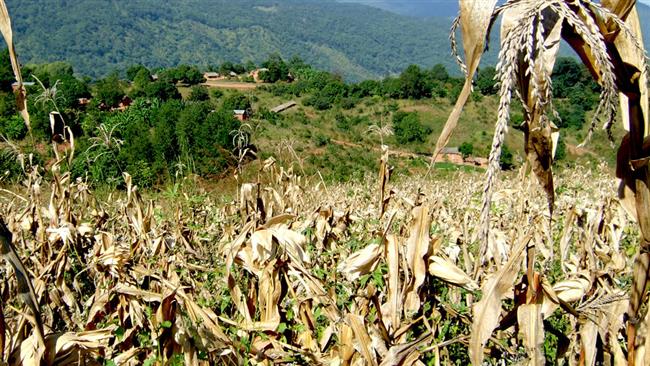 Malawi declares 20 districts disaster areas 