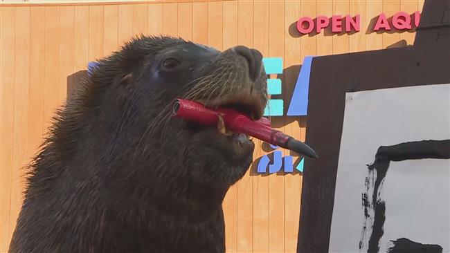 Meet Mr. Chen, a sea lion calligrapher! 