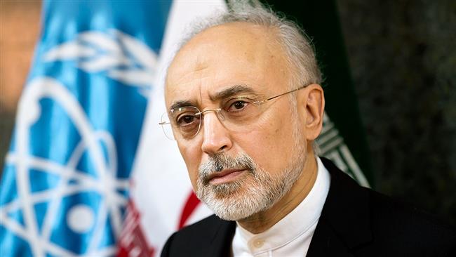 IAEA cooperation at risk if US violates JCPOA: Iran