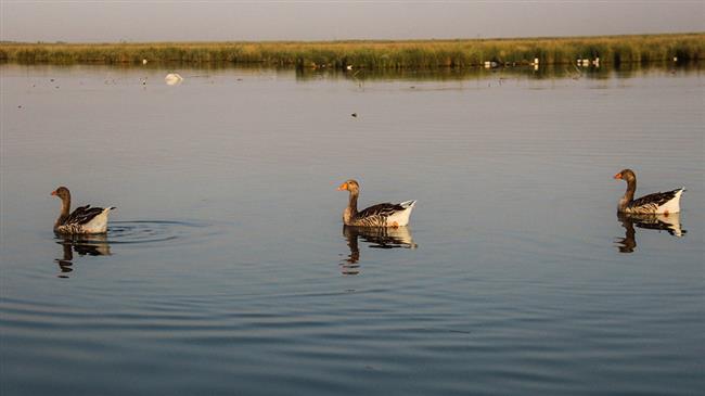Iran marks World Wetlands Day 2018
