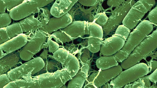 US making biological weapons around world: Report